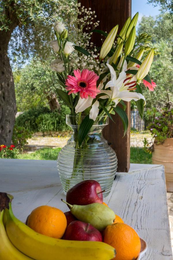 Villa Elaia Suites & Apartments No.6 Gaios Dış mekan fotoğraf