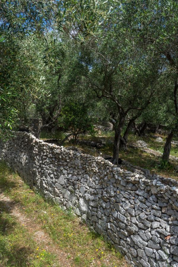Villa Elaia Suites & Apartments No.6 Gaios Dış mekan fotoğraf